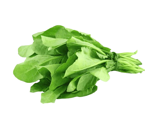 Fresh spinach bunch (palak)
