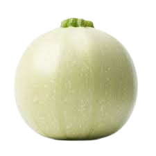 Fresh round gourd (tinda)