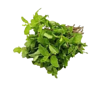 Fresh mint leaves (pudina)