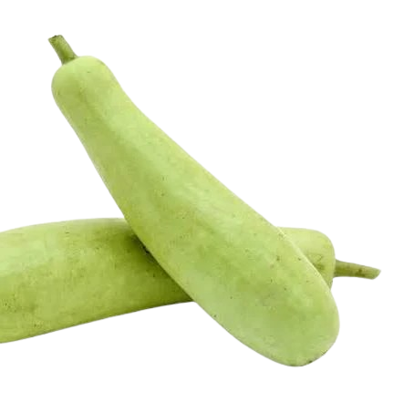 Fresh bottle gourd (lauki)